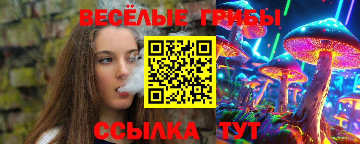 Алатырь  Галлюциногенные грибы Psilocybine cubensis  Вход с VPN 